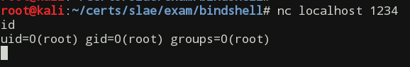 Bind TCP shell shellcode successful test