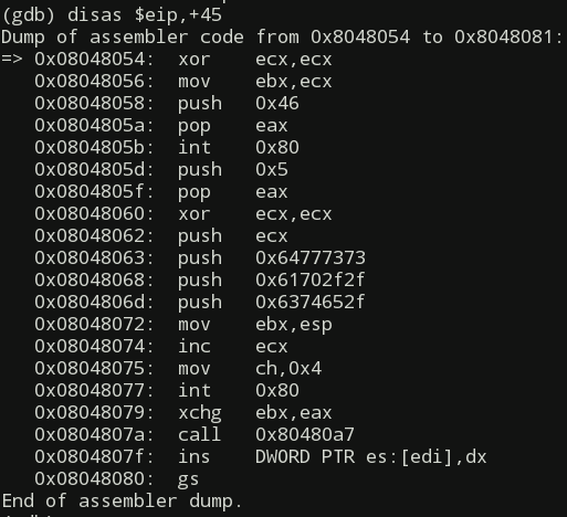 Disassembly view in gdb