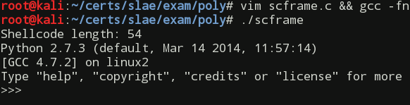 Testing the shellcode